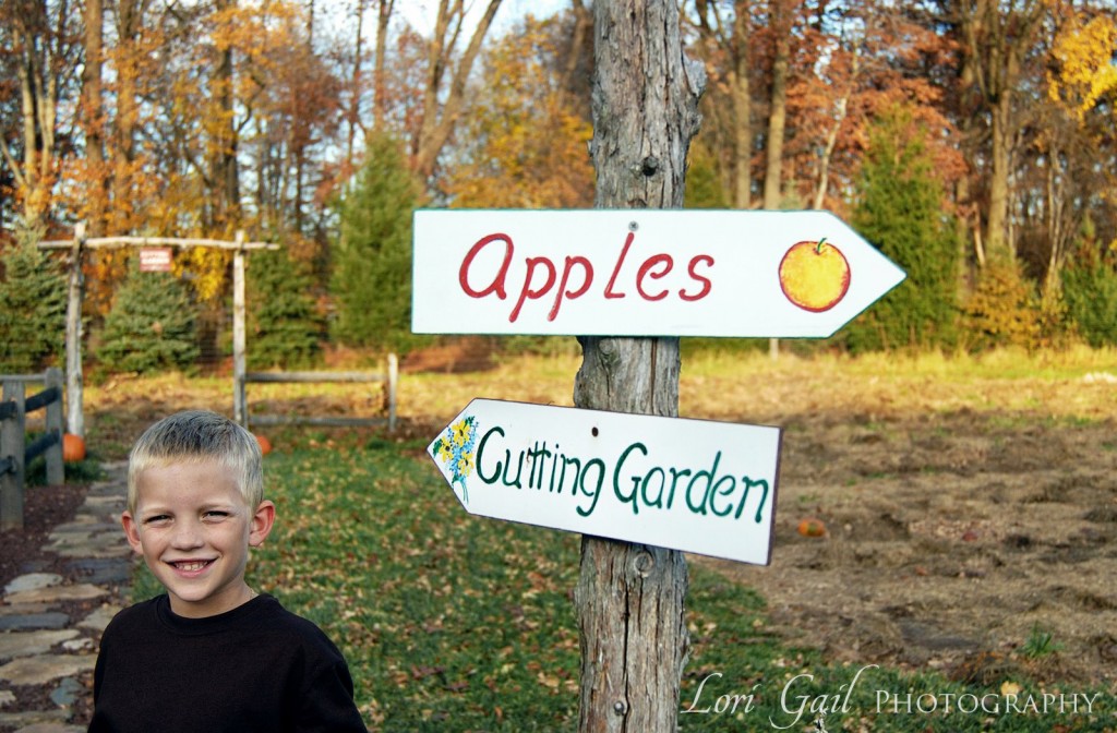 apples this way